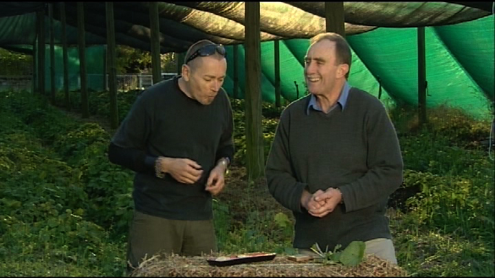 Trying purewasabi in a shadehouse scene from the Australian TV series, ‘The Cook and the Chef’.